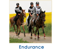 endurance1