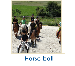 horse-ball1