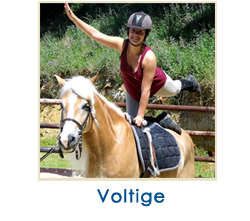 voltige1