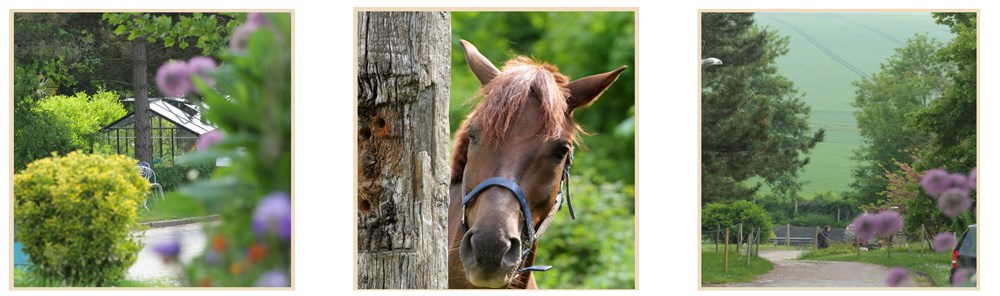 pension-formule-ensemble